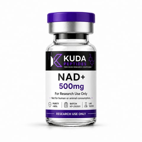 KUDA Peptides NAD+ 500mg research vial